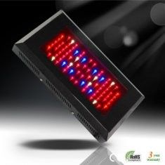 Yeni enerji tasarruflu sera RCG80 * 3W/630mA LED Grow bitki ışık Satılık