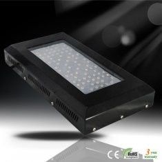 Yeni enerji tasarruflu sera RCG80 * 3W/630mA LED Grow bitki ışık Satılık