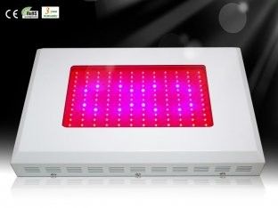DIY LED Grow bitki hafif RCG144 * 3W Hydroponics sera 3-5times HPS için