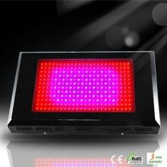 Enerji tasarruflu LED büyüyen ışıklar bitki RCG288 * 3W Hydroponics sera için
