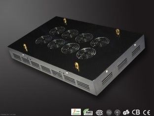 Enerji tasarruflu LED büyüyen ışıklar bitki RCG288 * 3W Hydroponics sera için