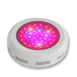 Enerji Tasarrufu Yuvarlak Bitki Işık 3W Renk Bitki Gorwing için değiştirme Ve Blooming LED Grow