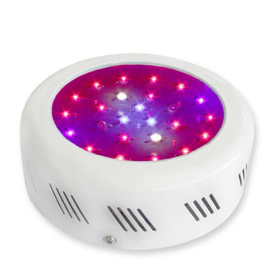 Çiçekli bitki yetiştirme Light 3 watt bitki büyüme ile 50000 saat uzun ömrü LED