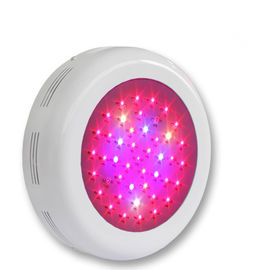 Bahçe Bitkileri kırmızı mavi Spectrum LED Grow ışık çiçek Sergisi, Bonsai, Bahçe için
