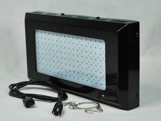 Yüksek yoğunlukta kırmızı ve mavi LED bitki büyümek ışıklı 3 watt kapalı Sebze Bahçe aydınlatması