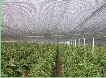 Kumaşı, tarım sera gölge 2 x 100m, 30gsm - 300gsm