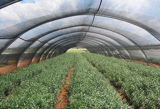 HDPE UV sera çatı gölge kumaşı Anti polietilen Net Shade