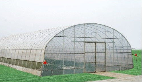 Özelleştirilmiş enerji tasarrufu Ticari seralar, 8000 mm span tünel sera