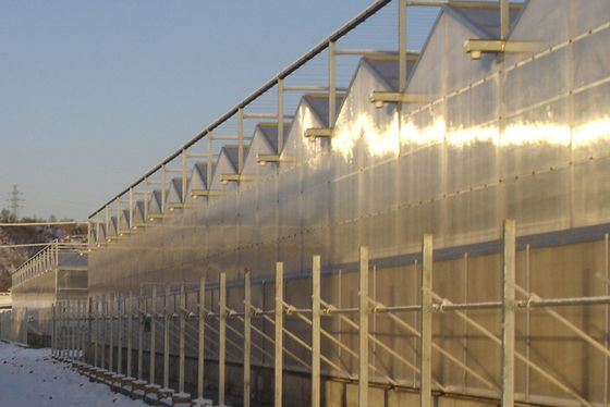 4000 mm kesit Ticari Venlo polikarbonat seralar, span başına 2/3 sırt, 9600 mm span