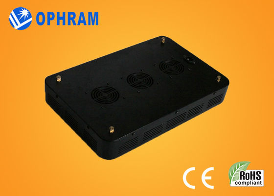 High Power IP20 Full Spectrum Fide / yapraklı için Işıklar LED Grow