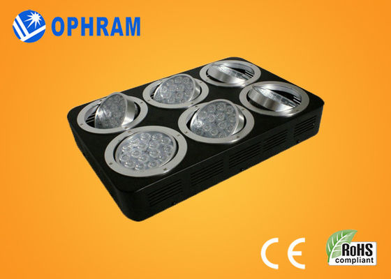 High Power IP20 Full Spectrum Fide / yapraklı için Işıklar LED Grow