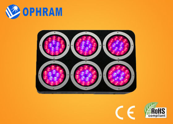 High Power IP20 Full Spectrum Fide / yapraklı için Işıklar LED Grow