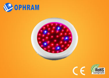 Epistar IP20 50W Tam Spektrum Çiçek AC85-265V için Işıklar LED Grow