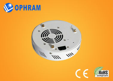 Epistar IP20 50W Tam Spektrum Çiçek AC85-265V için Işıklar LED Grow