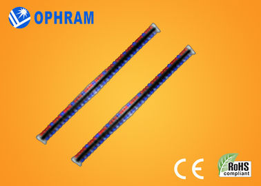 Yüksek parlaklık Epistar IP65 kırmızı ve mavi CE / ROHS ile Işıklar LED Grow