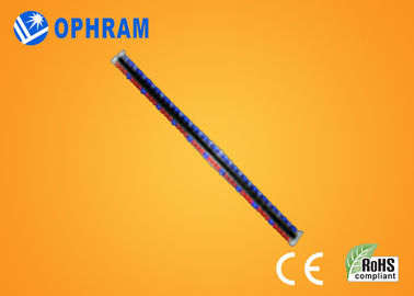 Yüksek parlaklık Epistar IP65 kırmızı ve mavi CE / ROHS ile Işıklar LED Grow
