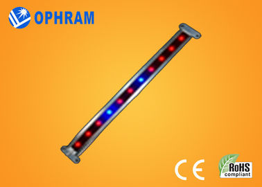 10W SMD 2835 Sebze / Çiçeklenme 180 ° Işın Açısı ile Işıklar LED Grow