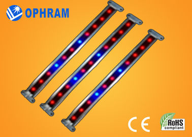 10W SMD 2835 Sebze / Çiçeklenme 180 ° Işın Açısı ile Işıklar LED Grow