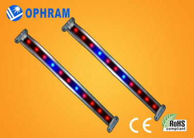 10W SMD 2835 Sebze / Çiçeklenme 180 ° Işın Açısı ile Işıklar LED Grow