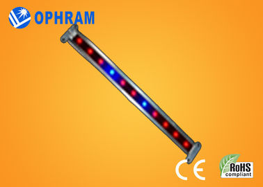 10W SMD 2835 Sebze / Çiçeklenme 180 ° Işın Açısı ile Işıklar LED Grow
