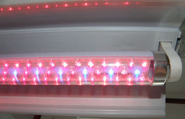 G13 LED Bitki Tarım Seracılık Işıklar Kırmızı Ve Mavi hidroponik büyütün