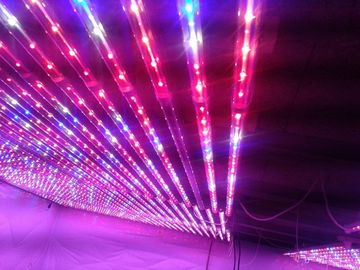 G13 LED Bitki Tarım Seracılık Işıklar Kırmızı Ve Mavi hidroponik büyütün