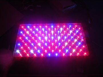 120W Yüksek güç sera LED Işık Grow